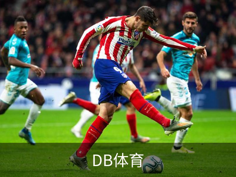 DB体育概况