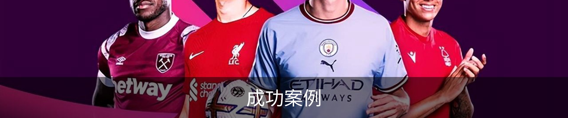 成功案例